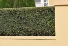 Colytonhard-landscaping-surfaces-8.jpg; ?>